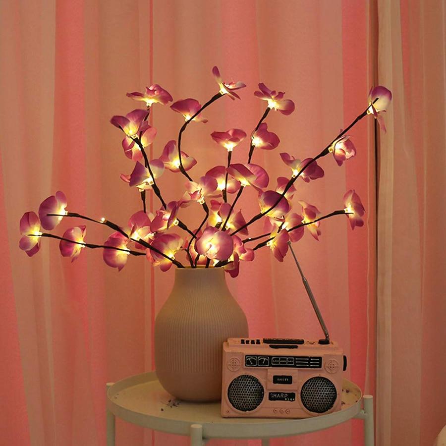 Orchideen Zweig Licht