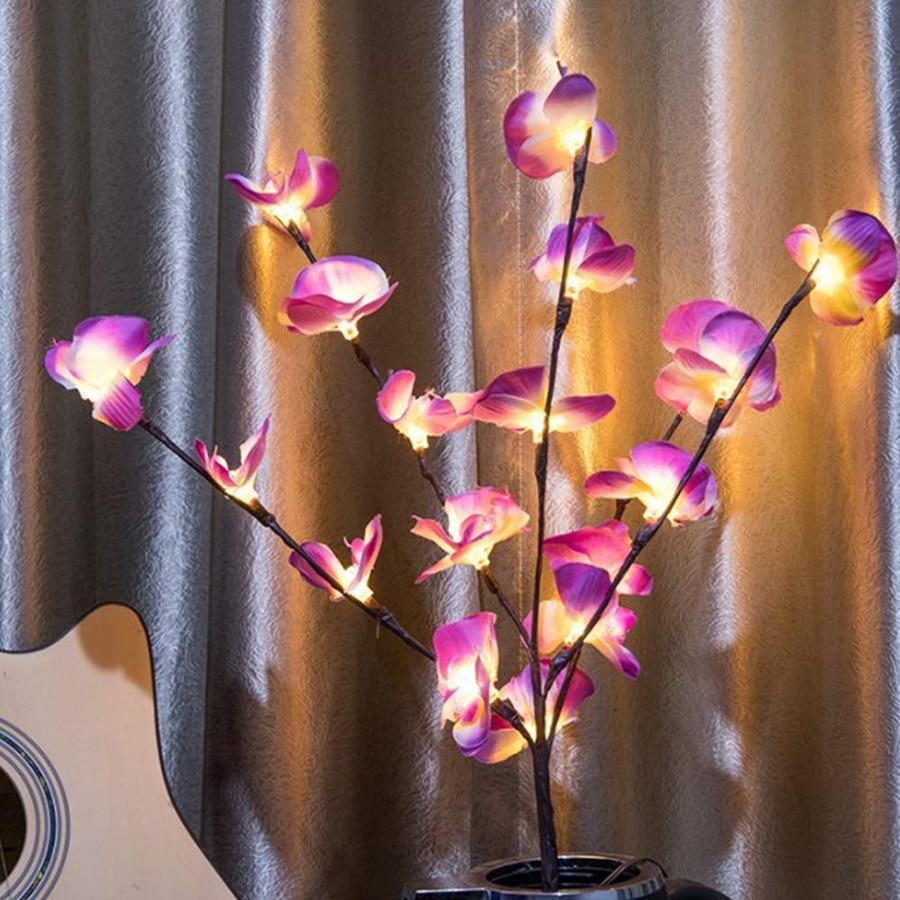 Orchideen Zweig Licht
